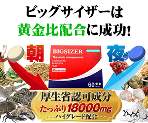 ビッグサイザー　BIGSIZER